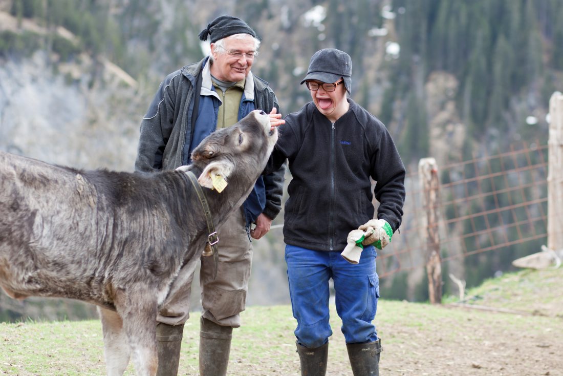 Arbeiten auf einem Bauernhof, Stiftung Landwirtschaft und Behinderte