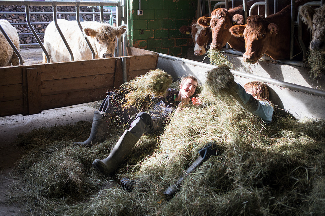 Arbeiten auf einem Bauernhof, Stiftung Landwirtschaft und Behinderte