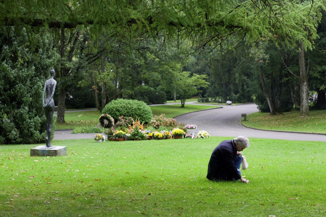 14 Portraets und Geschichten rund ums Thema Essen<br> Der Pilzsammler Max Isler findet seine Pilze im Friedhof.